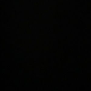 Meet your Posher, Ella